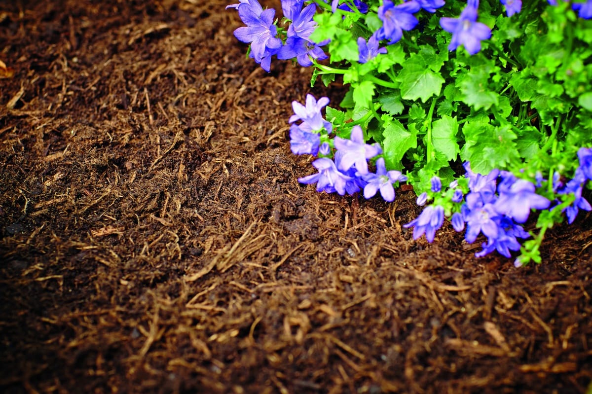 Gartenbau: Ein vollständiger Leitfaden für die Planung und den Bau Ihres Traumgartens