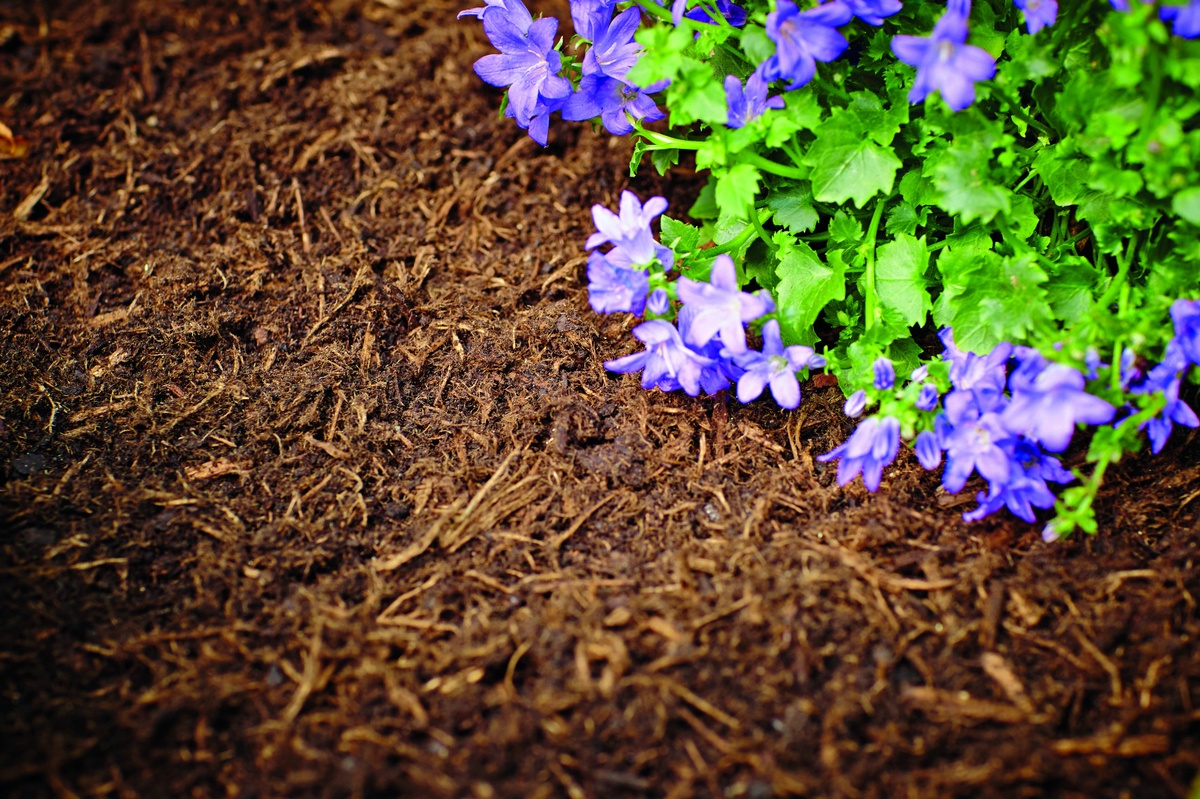 Gartenbau: Ein vollständiger Leitfaden für die Planung und den Bau Ihres Traumgartens